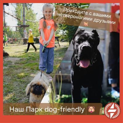 Наш Парк dog-friendly