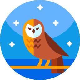 owl.png